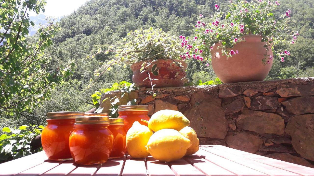 B&B Rossociliegia Colletta Екстериор снимка