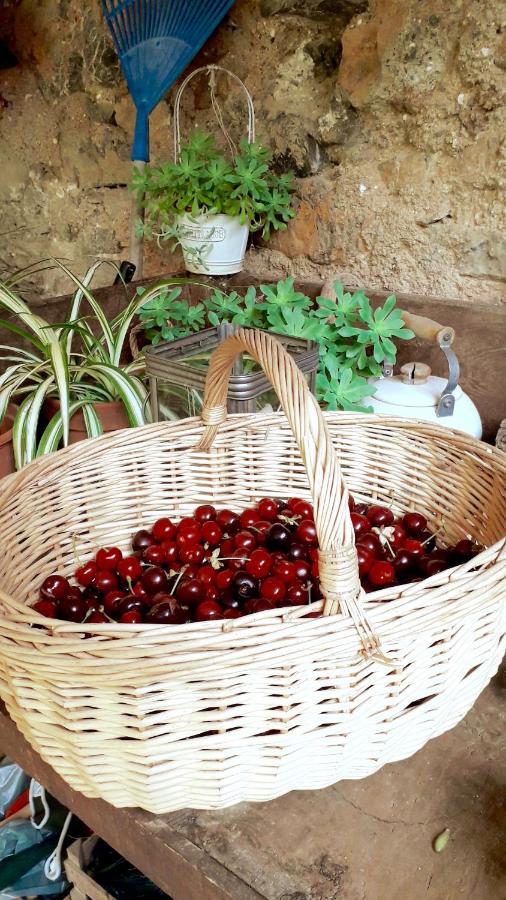 B&B Rossociliegia Colletta Екстериор снимка